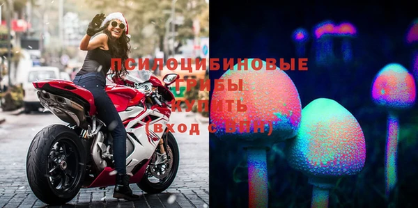 прущая мука Арсеньев